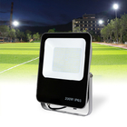 Low Profile Residential LED Outside Flood Lights Dimmable Color Changing 50 Watt 100 Watt